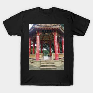 Laying dog in Thailand Pagoda T-Shirt